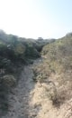 direction : la plage de fort Mahon